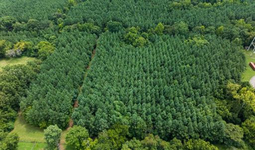 Photo #34 of SOLD property in Off White Street, Warrenton, NC 17.5 acres
