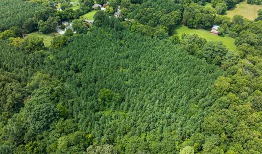 Photo #35 of SOLD property in Off White Street, Warrenton, NC 17.5 acres