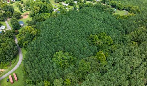 Photo #39 of SOLD property in Off White Street, Warrenton, NC 17.5 acres