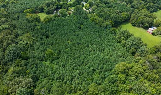 Photo #43 of SOLD property in Off White Street, Warrenton, NC 17.5 acres