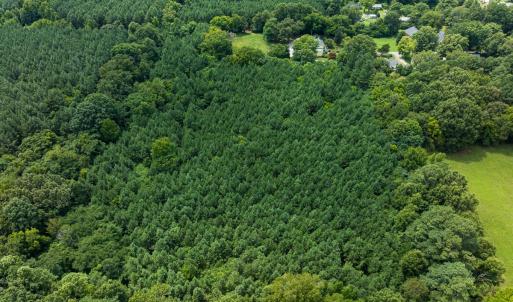 Photo #44 of SOLD property in Off White Street, Warrenton, NC 17.5 acres