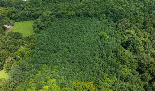 Photo #47 of SOLD property in Off White Street, Warrenton, NC 17.5 acres