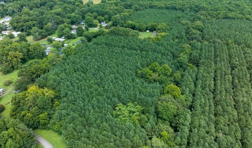 Photo #50 of SOLD property in Off White Street, Warrenton, NC 17.5 acres