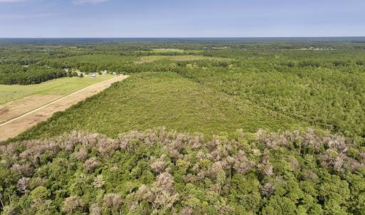 Photo #2 of SOLD property in Off Davis Rd, Richlands, NC 44.1 acres
