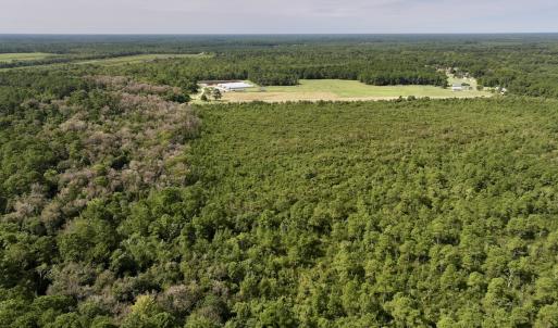 Photo #11 of SOLD property in Off Davis Rd, Richlands, NC 44.1 acres