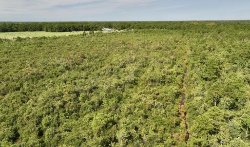 Photo #12 of SOLD property in Off Davis Rd, Richlands, NC 44.1 acres