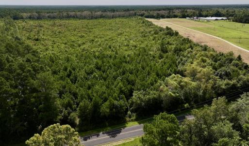 Photo #13 of SOLD property in Off Davis Rd, Richlands, NC 44.1 acres