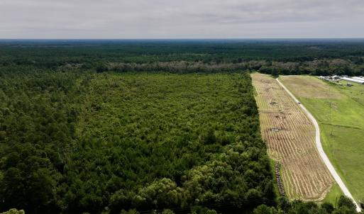 Photo #3 of SOLD property in Off Davis Rd, Richlands, NC 44.1 acres