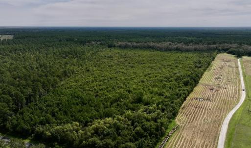 Photo #4 of SOLD property in Off Davis Rd, Richlands, NC 44.1 acres