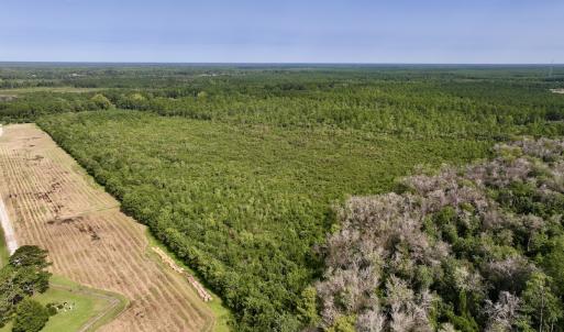 Photo #6 of SOLD property in Off Davis Rd, Richlands, NC 44.1 acres