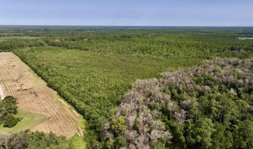 Photo #7 of SOLD property in Off Davis Rd, Richlands, NC 44.1 acres