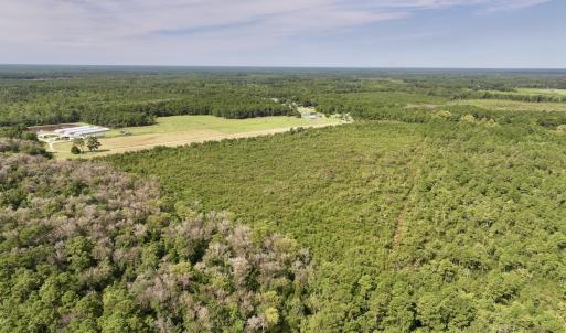 Photo #9 of SOLD property in Off Davis Rd, Richlands, NC 44.1 acres