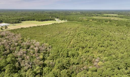 Photo #10 of SOLD property in Off Davis Rd, Richlands, NC 44.1 acres