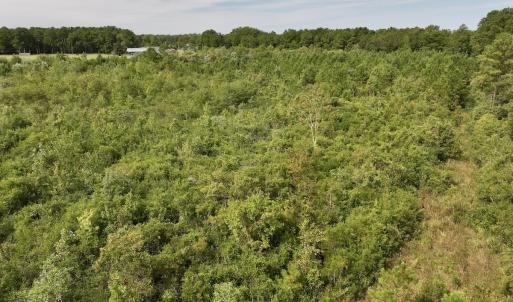 Photo #26 of SOLD property in Off Davis Rd, Richlands, NC 44.1 acres