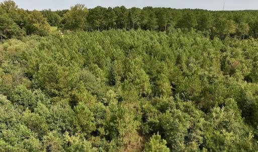 Photo #28 of SOLD property in Off Davis Rd, Richlands, NC 44.1 acres