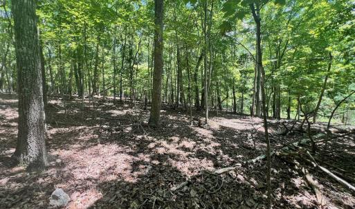 Photo #12 of Off of Poplar Drive, Hardy, VA 0.3 acres