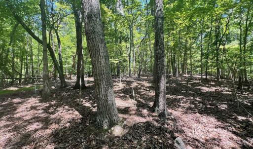Photo #13 of Off of Poplar Drive, Hardy, VA 0.3 acres