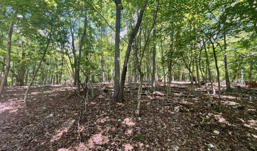 Photo #14 of Off of Poplar Drive, Hardy, VA 0.3 acres