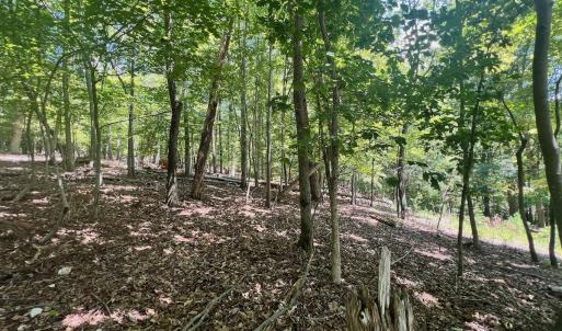 Photo #15 of Off of Poplar Drive, Hardy, VA 0.3 acres