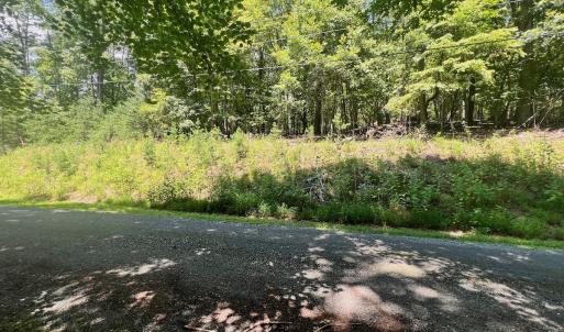 Photo #19 of Off of Poplar Drive, Hardy, VA 0.3 acres