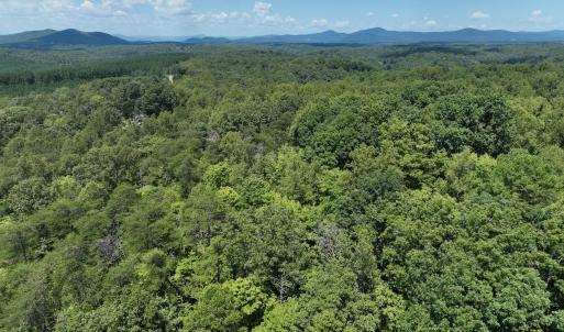 Photo #20 of Off of Poplar Drive, Hardy, VA 0.3 acres