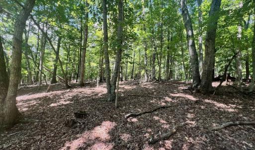 Photo #4 of Off of Poplar Drive, Hardy, VA 0.3 acres