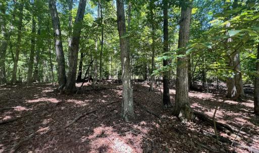 Photo #5 of Off of Poplar Drive, Hardy, VA 0.3 acres