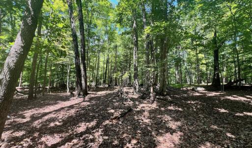 Photo #6 of Off of Poplar Drive, Hardy, VA 0.3 acres