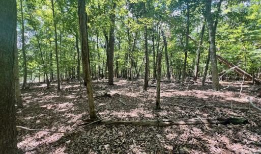 Photo #8 of Off of Poplar Drive, Hardy, VA 0.3 acres
