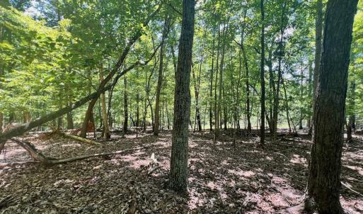 Photo #9 of Off of Poplar Drive, Hardy, VA 0.3 acres