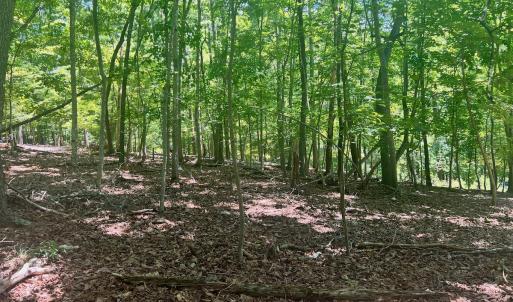 Photo #10 of Off of Poplar Drive, Hardy, VA 0.3 acres