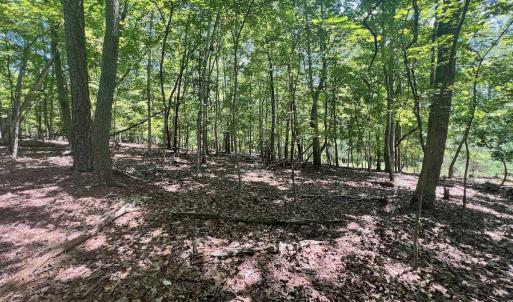 Photo #11 of Off of Poplar Drive, Hardy, VA 0.3 acres