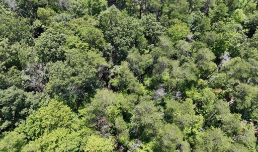 Photo #23 of Off of Poplar Drive, Hardy, VA 0.3 acres