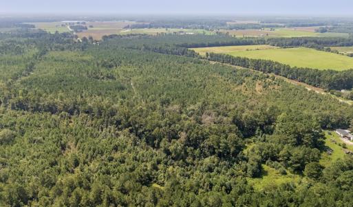 Photo #7 of SOLD property in Off Fountain Town Rd, Beualville, NC 28.7 acres