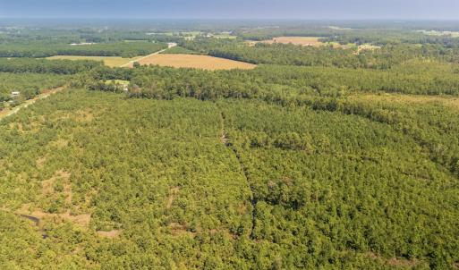 Photo #5 of SOLD property in Off Fountain Town Rd, Beualville, NC 28.7 acres