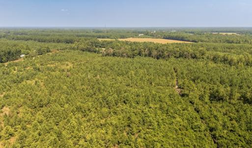 Photo #3 of SOLD property in Off Fountain Town Rd, Beualville, NC 28.7 acres