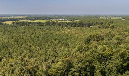 Photo #15 of SOLD property in Off Fountain Town Rd, Beualville, NC 28.7 acres