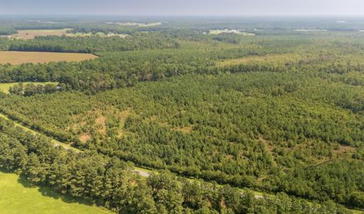 Photo #13 of SOLD property in Off Fountain Town Rd, Beualville, NC 28.7 acres