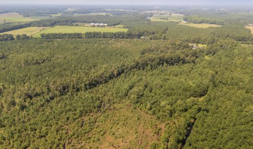 Photo #12 of SOLD property in Off Fountain Town Rd, Beualville, NC 28.7 acres
