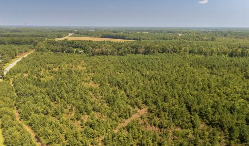 Photo #10 of SOLD property in Off Fountain Town Rd, Beualville, NC 28.7 acres