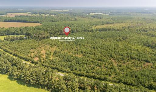 Photo #8 of SOLD property in Off Fountain Town Rd, Beualville, NC 28.7 acres
