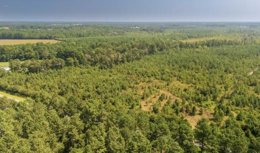 Photo #20 of SOLD property in Off Fountain Town Rd, Beualville, NC 28.7 acres