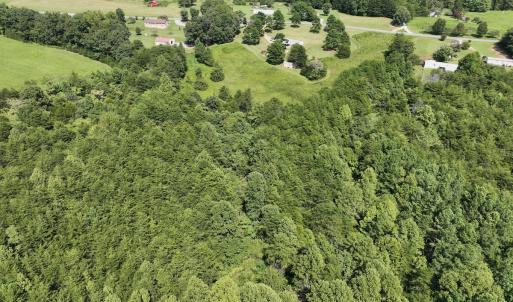 Photo #12 of SOLD property in 1494 Green Bay Road, Catham, VA 16.2 acres