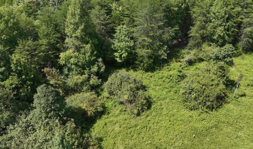 Photo #14 of SOLD property in 1494 Green Bay Road, Catham, VA 16.2 acres