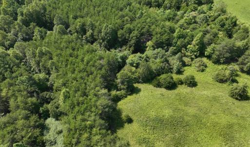 Photo #10 of SOLD property in 1494 Green Bay Road, Catham, VA 16.2 acres