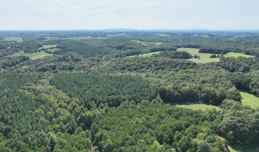 Photo #34 of SOLD property in 1494 Green Bay Road, Catham, VA 16.2 acres