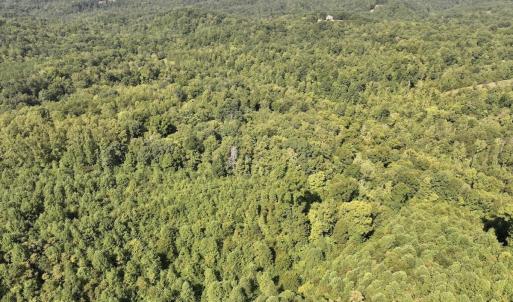 Photo #17 of 01 Seven Island Road, Danbury, NC 18.5 acres