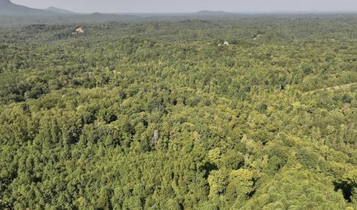 Photo #18 of 01 Seven Island Road, Danbury, NC 18.5 acres