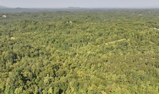 Photo #20 of 01 Seven Island Road, Danbury, NC 18.5 acres