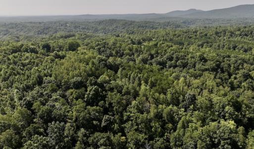 Photo #4 of 01 Seven Island Road, Danbury, NC 18.5 acres
